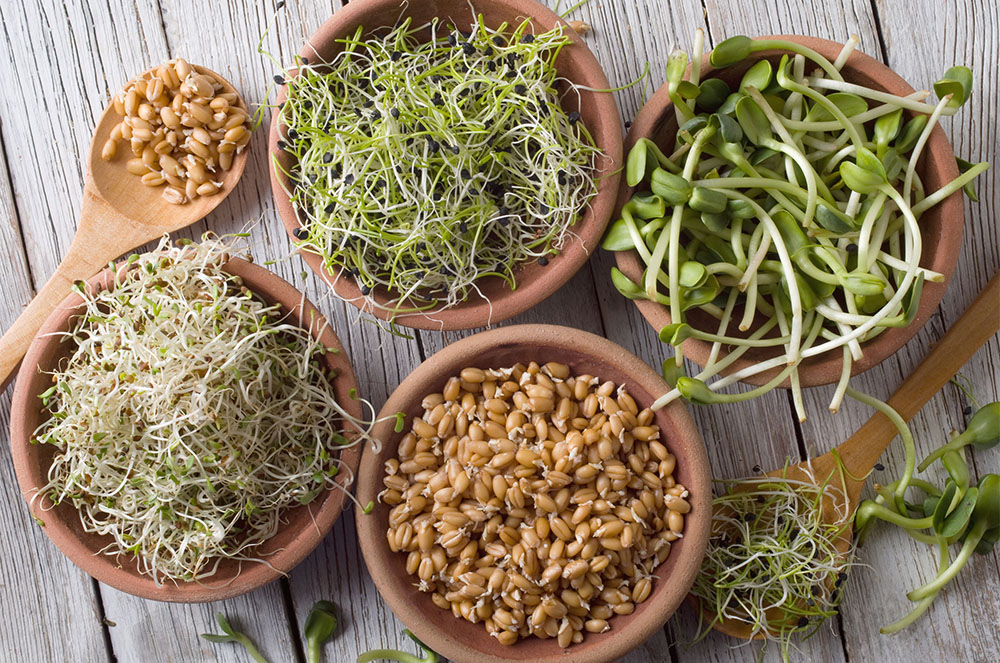 Recupera't dels excessos amb germinats