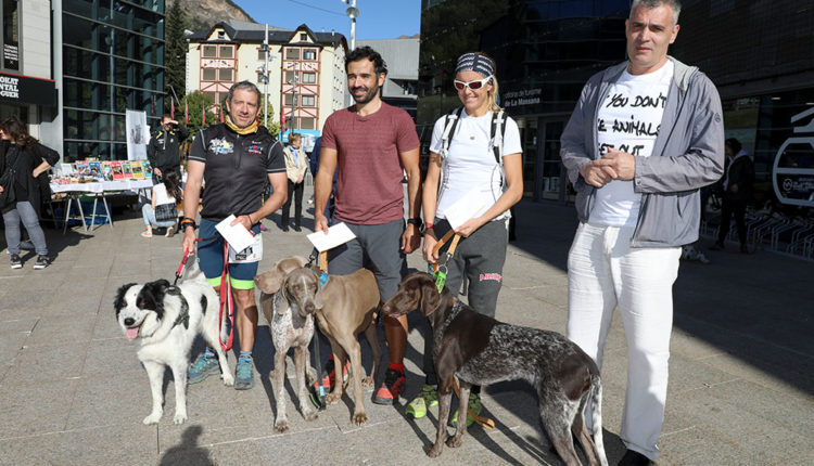 Dona Secret-727A6424