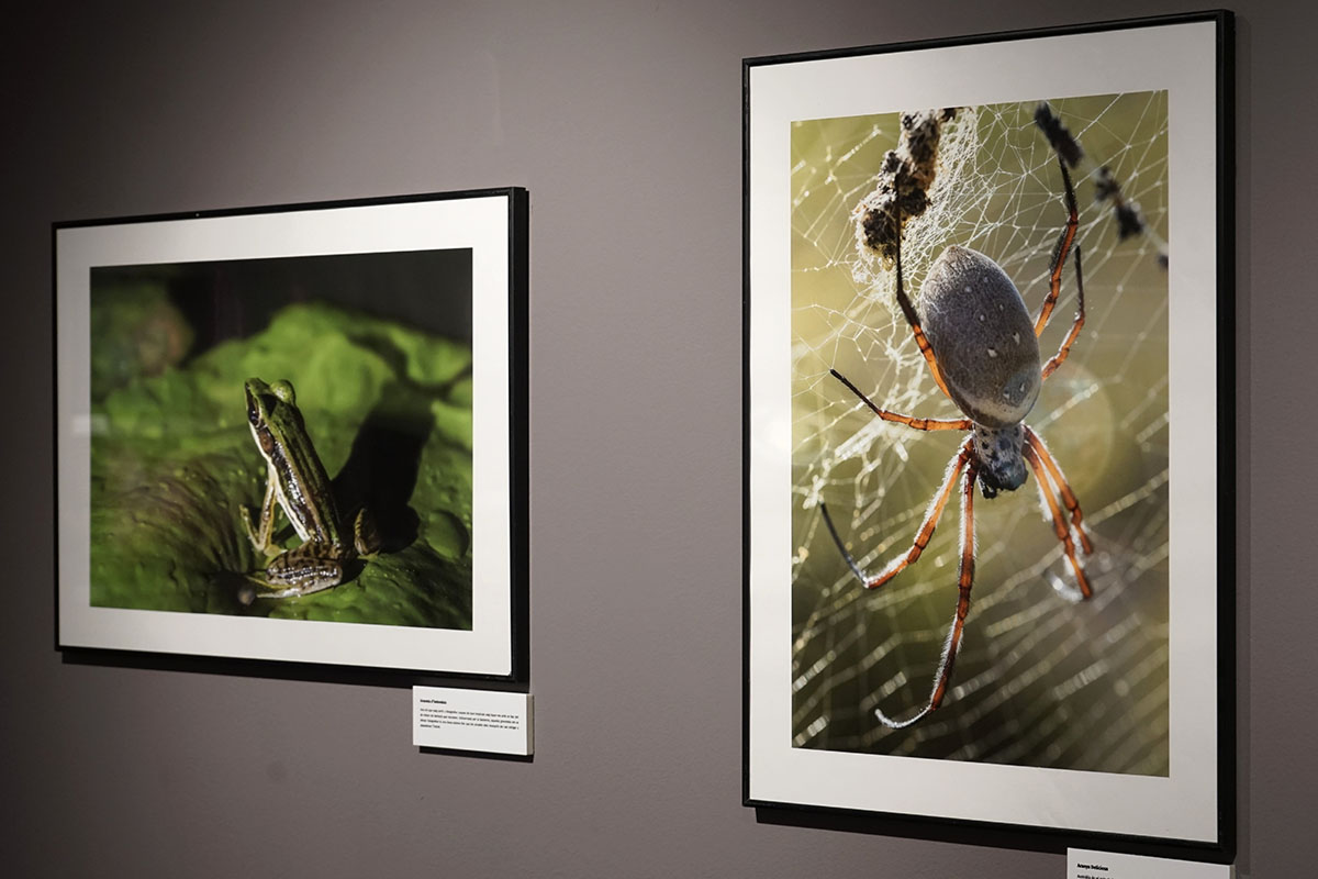 Fotografia científica