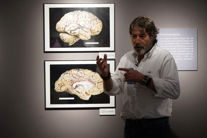 Exposició fotografia científica Museu del Tabac