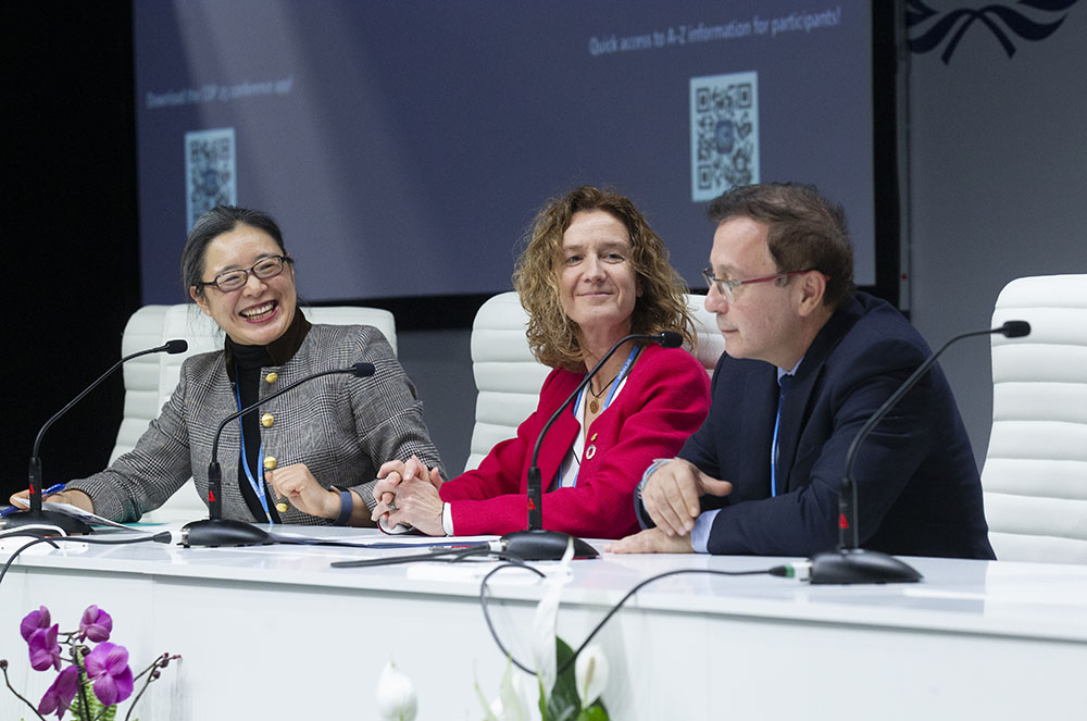 Sílvia Calvó a la COP25 a Madrid