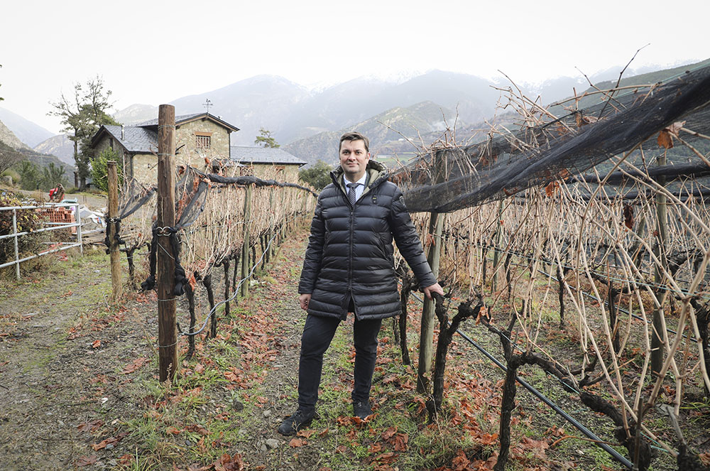 Joan Albert Farré a la seva vinya