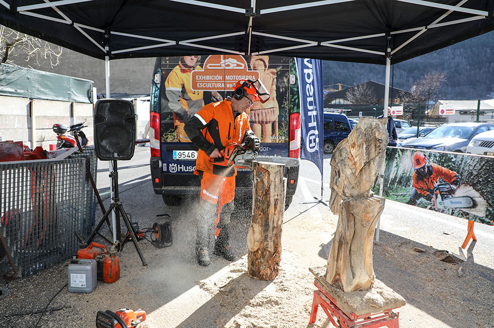 Exhibició de tall de fusta a Mavid