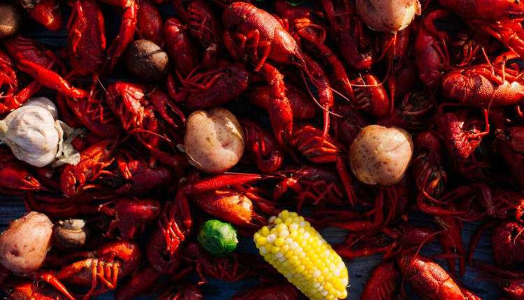 5_Cangrejos Laffayette_D Culbert