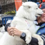 Participants de la OTSO Trail Dog Encamp