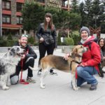 Participants de la OTSO Trail Dog Encamp