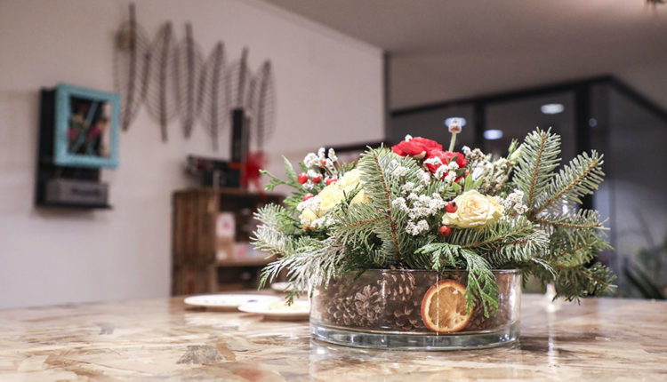 e-naturam-taranmana-dona-secret-8