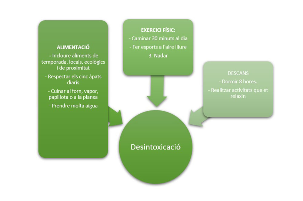 procés de desintoxicació