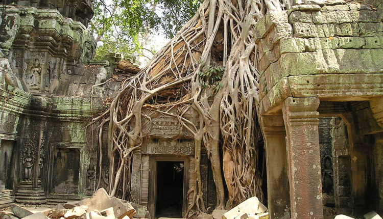 tree-wood-building-old-mystical-overgrown-1160840-pxhere.com