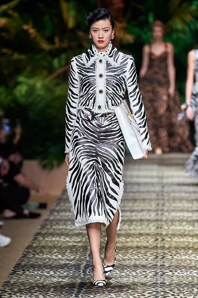 Animal print zebra dolce & gabbana