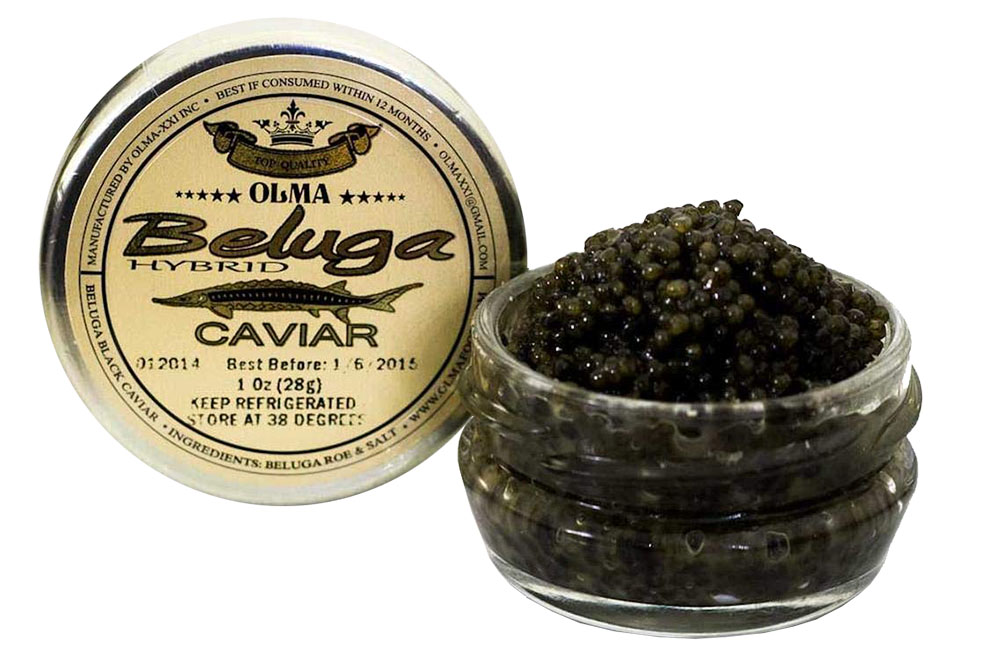 Caviar negre híbrid d’esturió beluga Olma per a festes