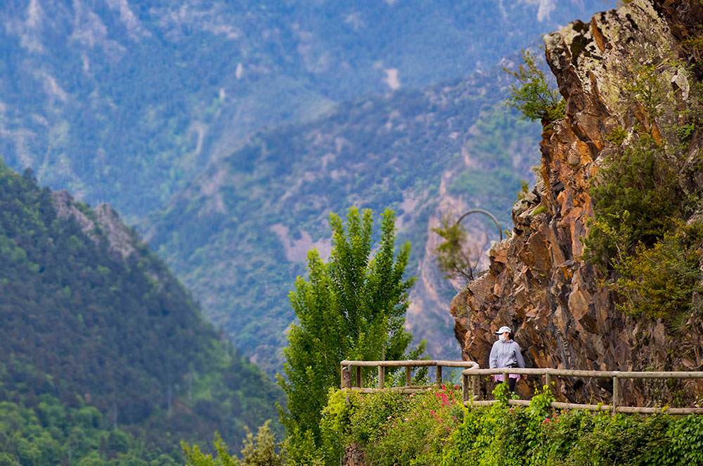 Rec del Solà i l'Obac