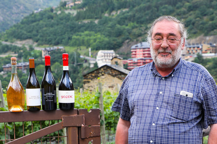 Carles Berenguer