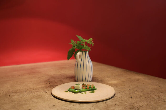 Amanida de mongetes, anxoves i pesto d'ortigues