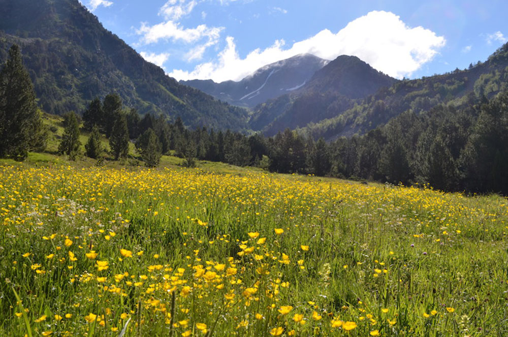 Parc Natural de la Vall de Sorteny