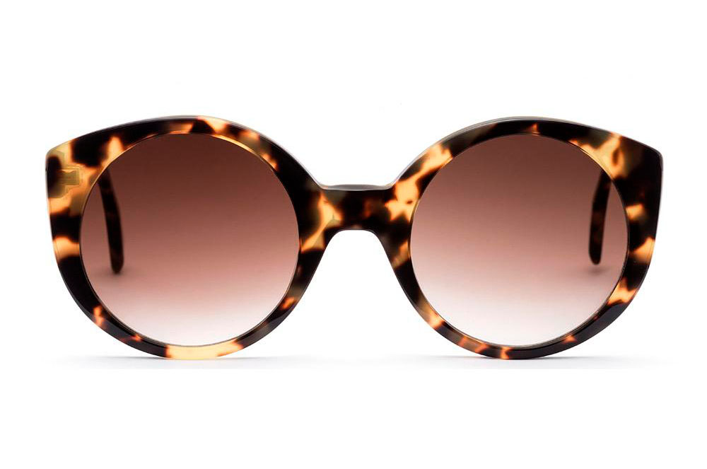 Ulleres de sol de pasta d'Archy Welfare