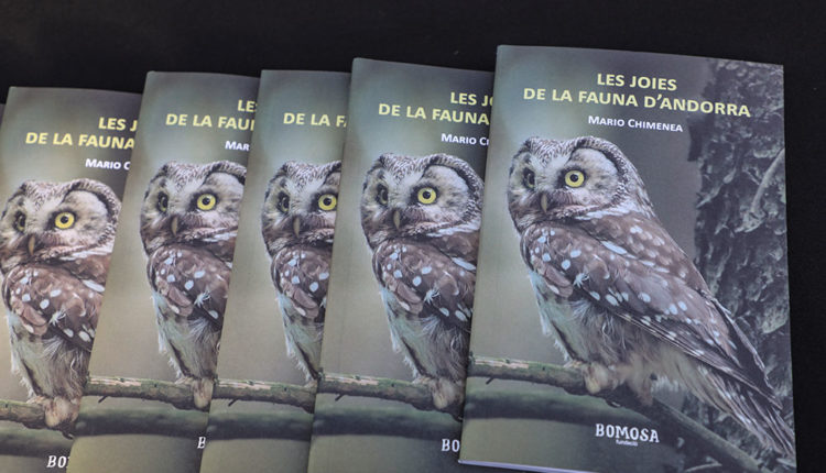 Dona Secret-3C7A1377