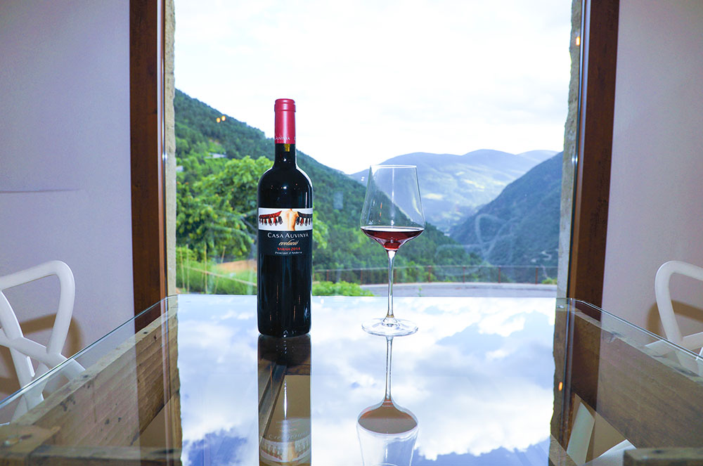 El vi de Casa Auvinyà