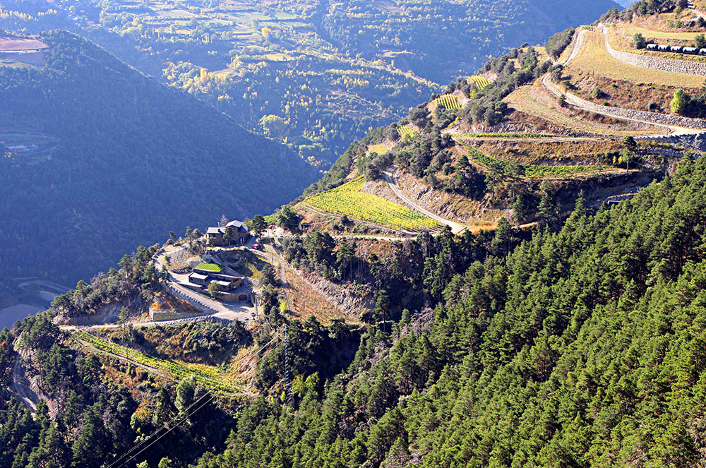 Borda Sabaté des de l'aire
