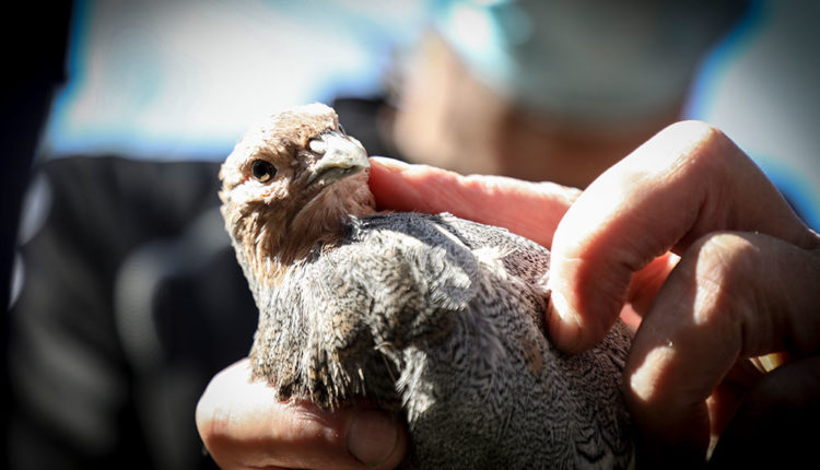 Dona Secret-727A8081