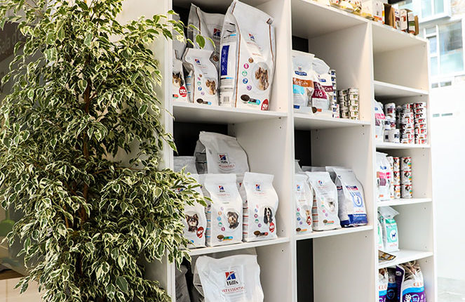 dona-secret-andorra-Vets- Fontblanca