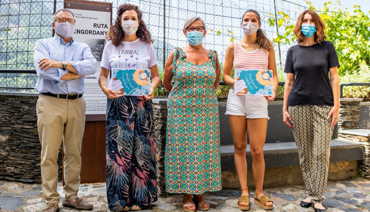 50172136293_477ba35652_o