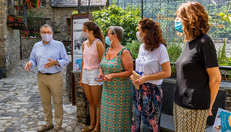 50172136523_d305ed2218_o