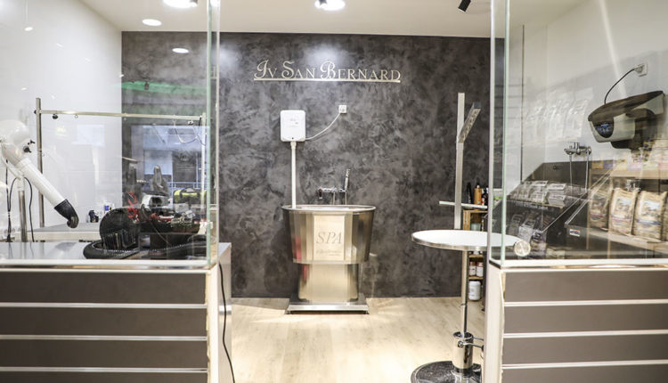 donasecret-yotky’s-andorra