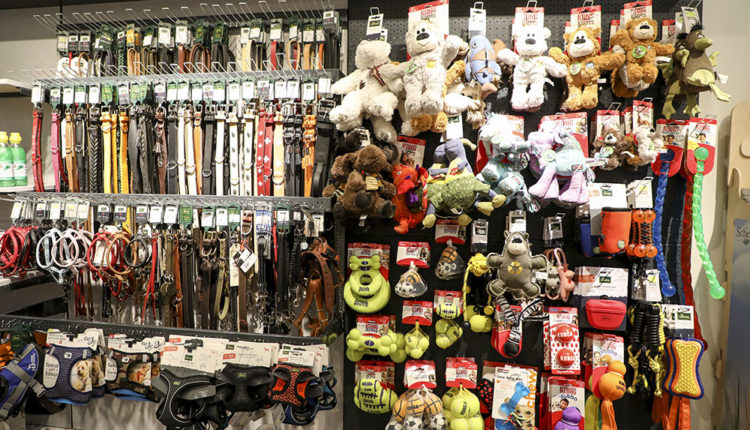 dona-secret-andorra-grup-yorky’s