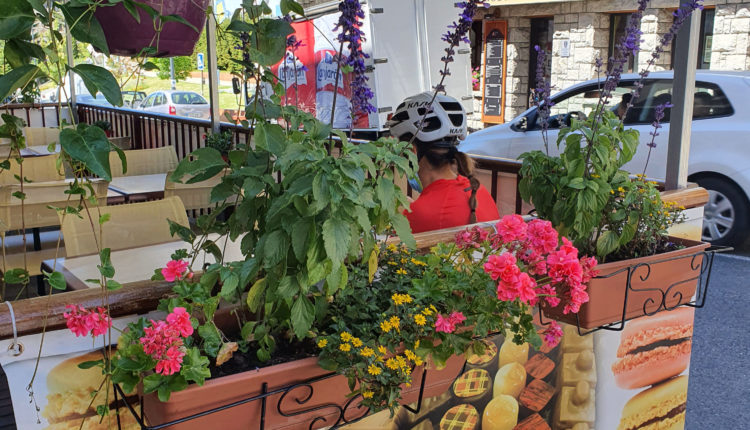 Les delicies del Jimmy (4)