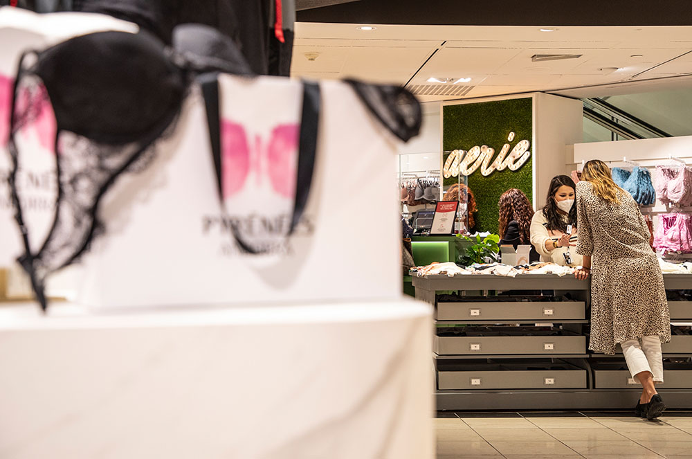 Còrner Aerie a Pyrénées Andorra