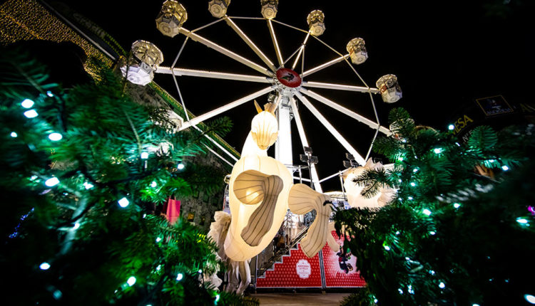 50691349098_a0d77f70b1_o