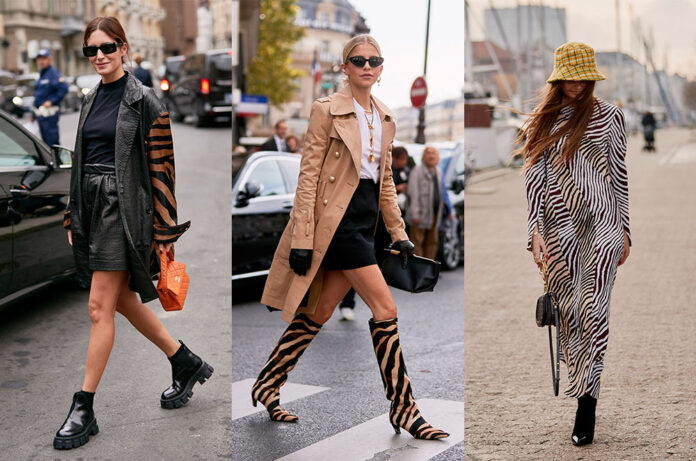 Moda estampats de zebra