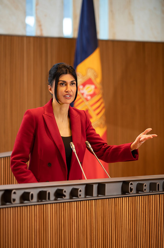 Carine Montaner Raynaud