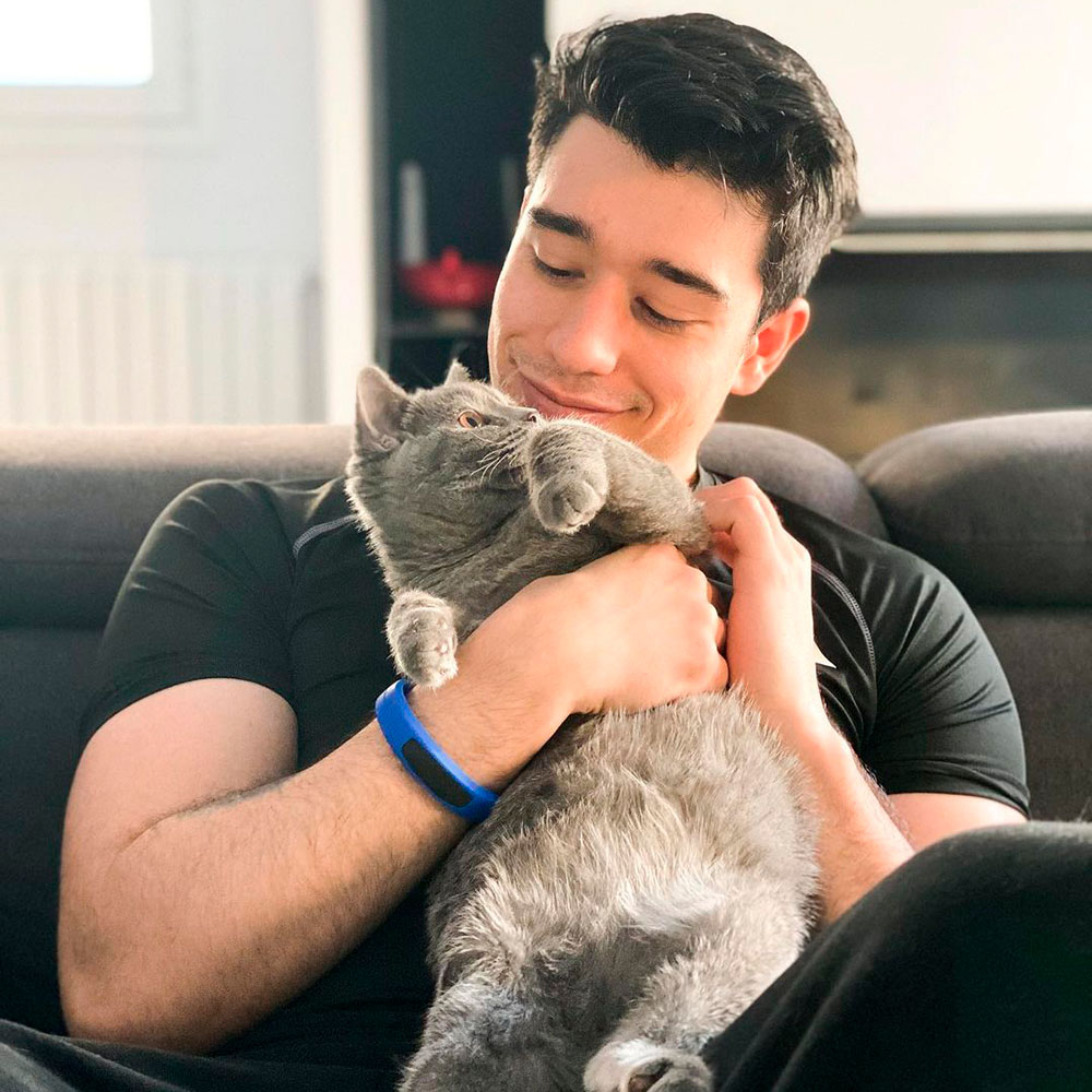 Wall Street Wolverine i el seu gat