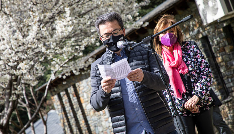 Dona Secret-DONA6801