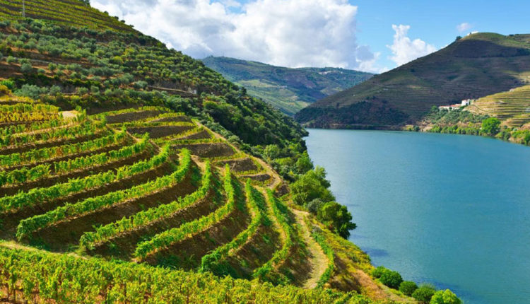 Douro-valley-pic-Portugal
