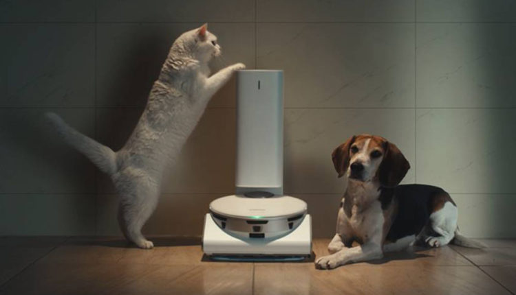 robot cat and dog