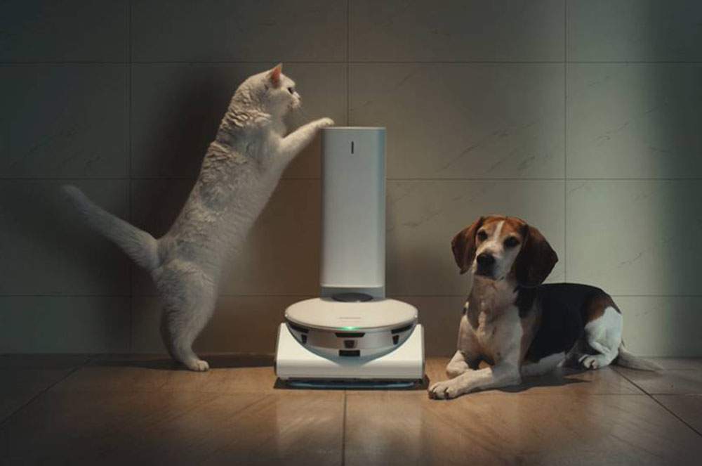 robot cat and dog