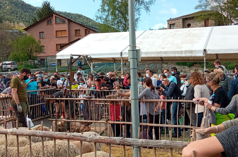 Fira del Bestiar d'Ordino