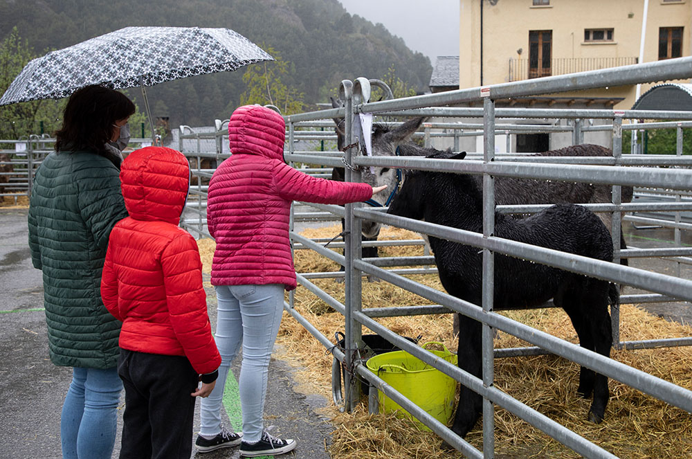 Zona de contacte a la Fira del Bestiar