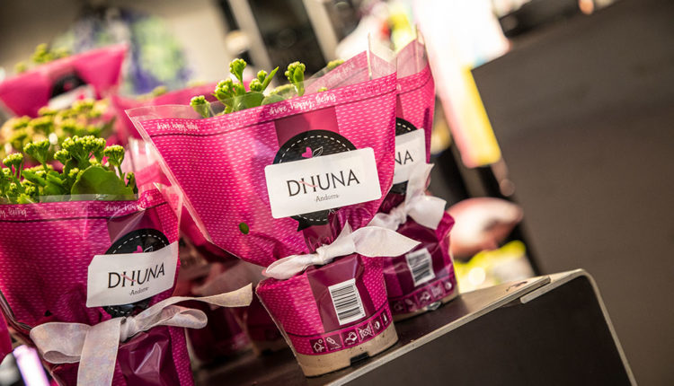 Dona Secret-3C7A4907