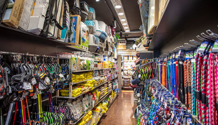 Dona Secret-3C7A5809