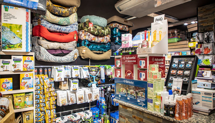 Dona Secret-3C7A5812