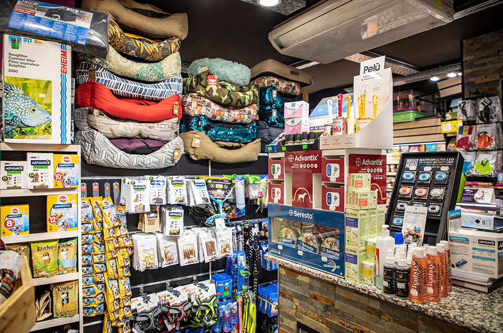 Interior de la botiga més que animals