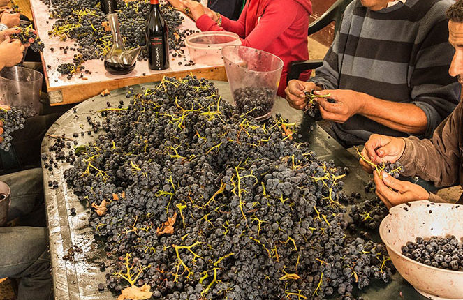 10661685_1482381838690448_3322156637217630119_o1