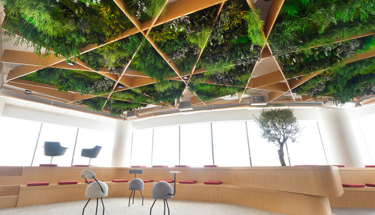 5_©greenarea-green ceiling-JLL-Tetris-offices-lisboa_baja