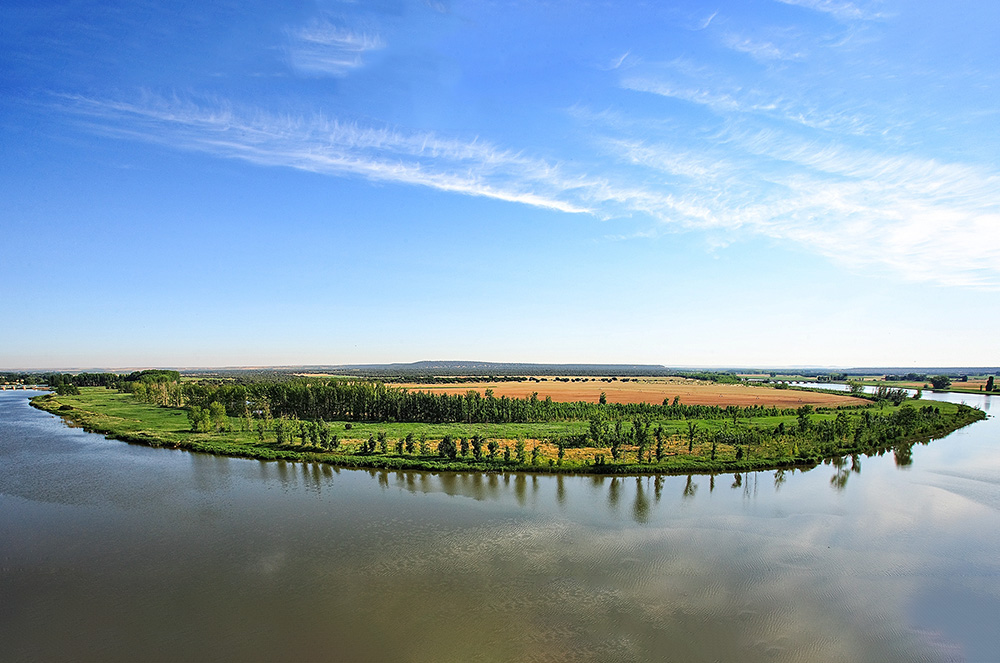 Terrenys de la vinya Barcolobo