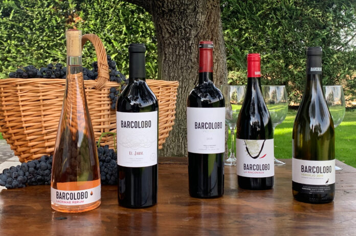 Vins de Barcolobo
