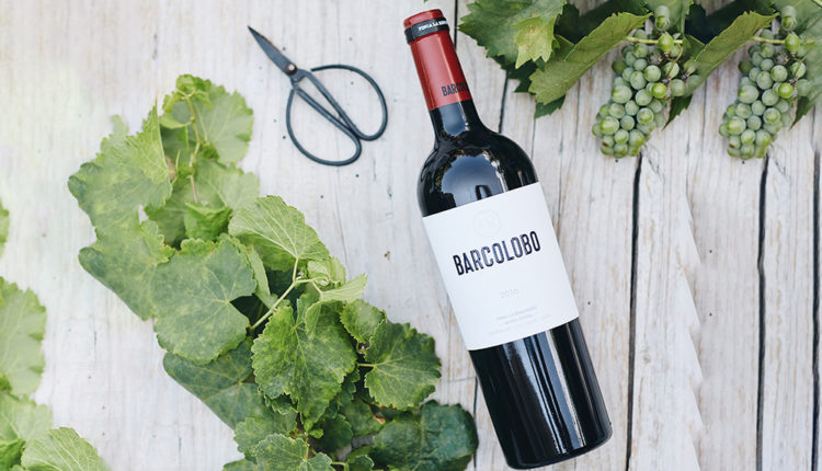 Processed with VSCO with a6 preset